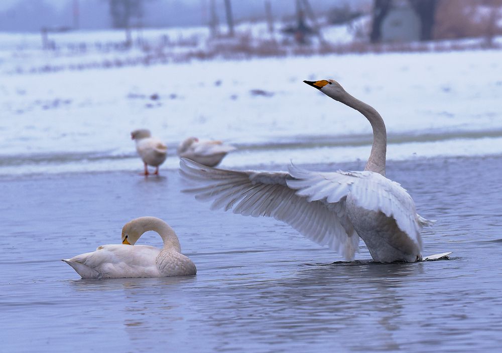 DSC_1171_.jpg