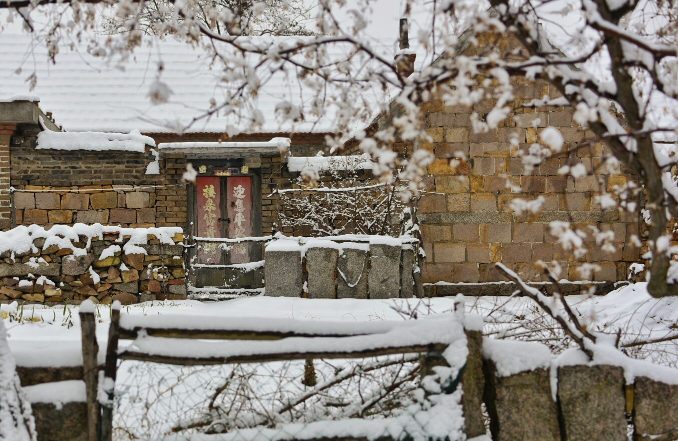 _DSC2206-01.jpeg