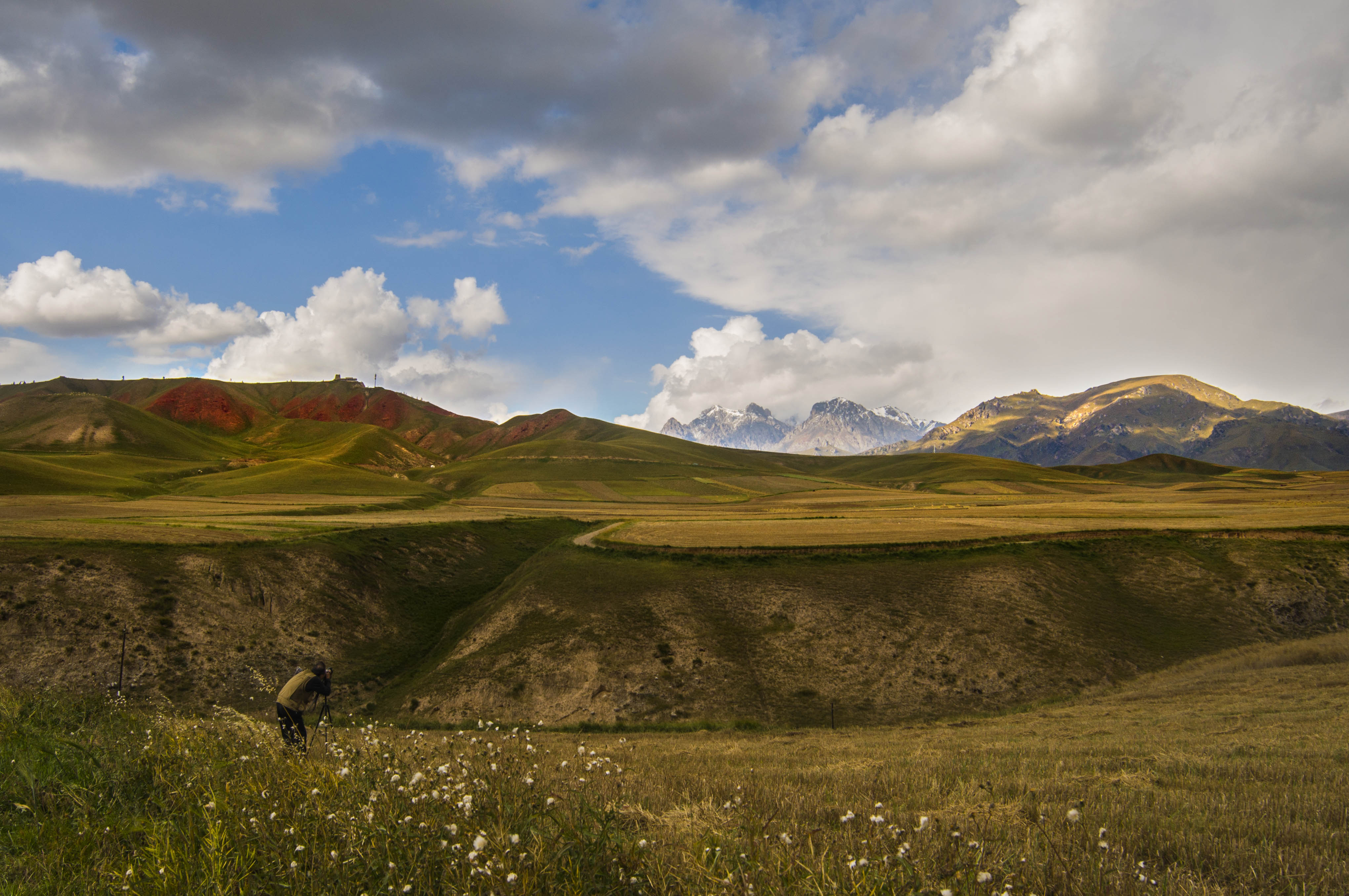 DSC_0208.jpg