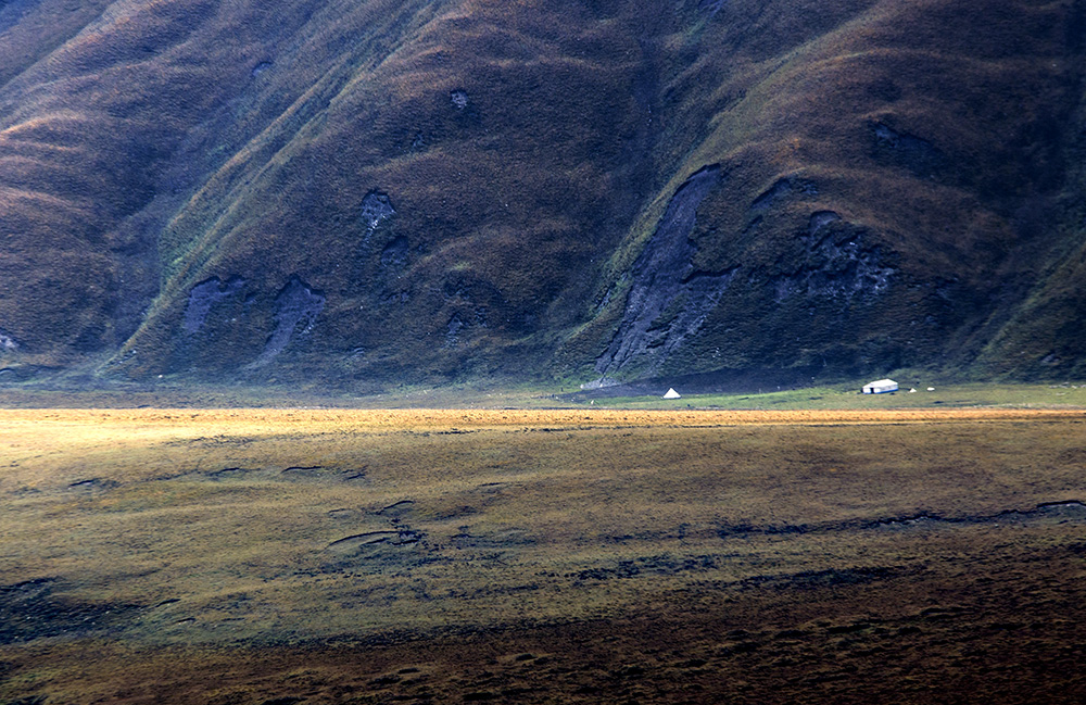 DSC_0272.jpg