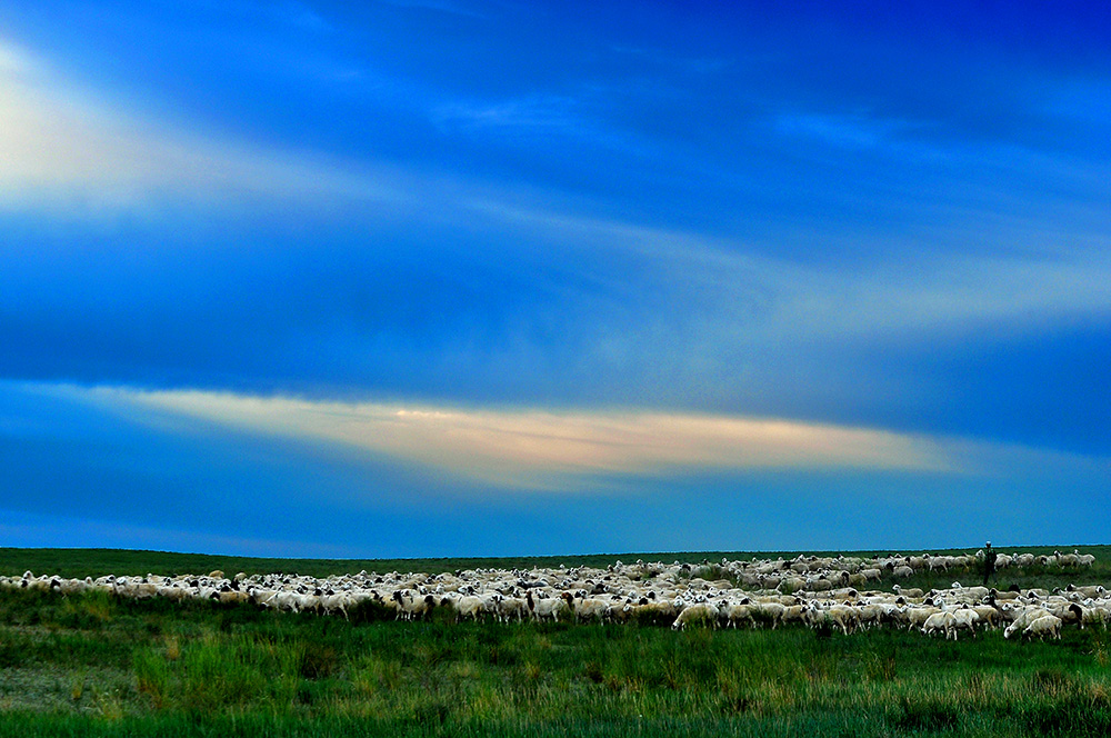 DSC_0001.JPG