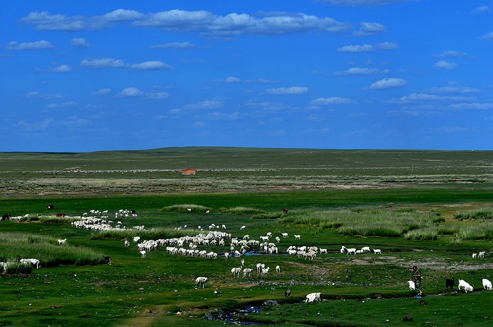 DSC_0016 - .JPG
