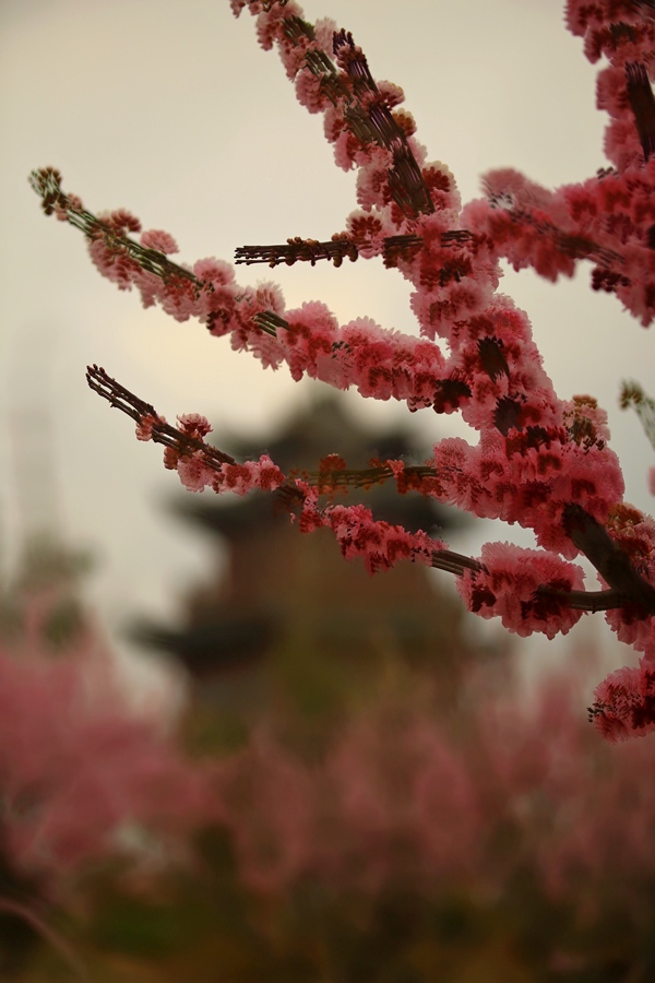 4U4A02140.jpg