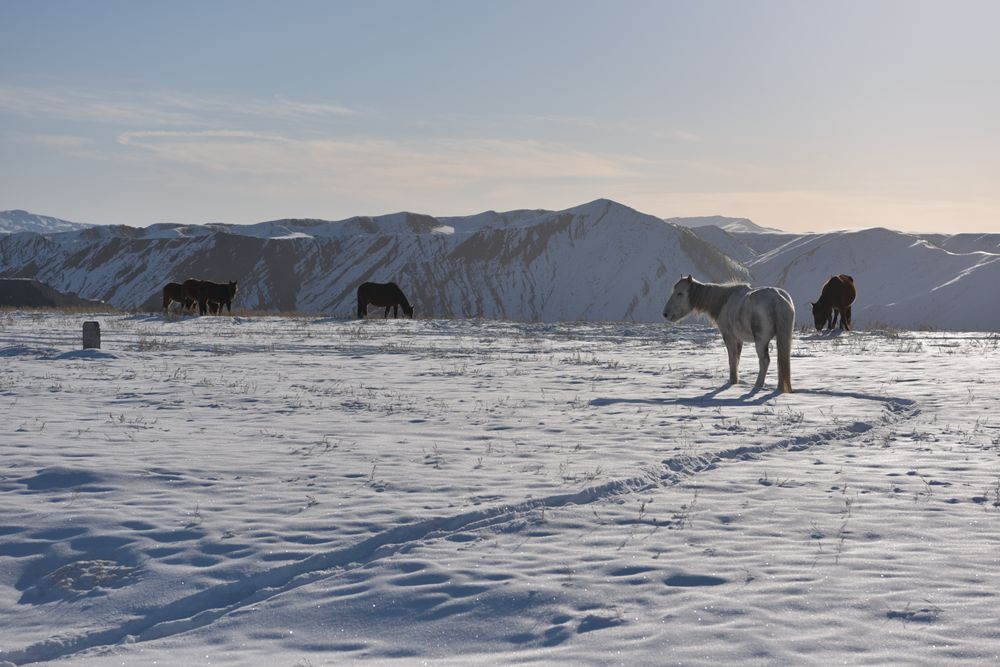 DSC_0074.JPG
