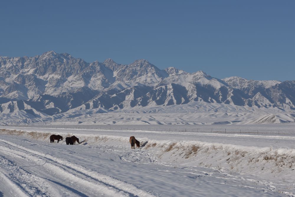 DSC_0087.JPG