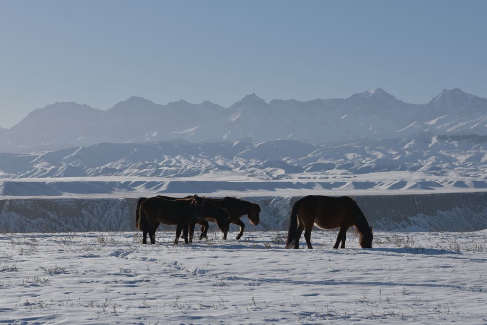 DSC_0092.JPG