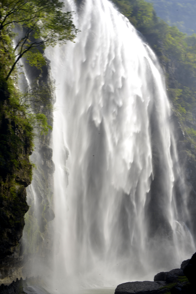 _DSC4242.jpg