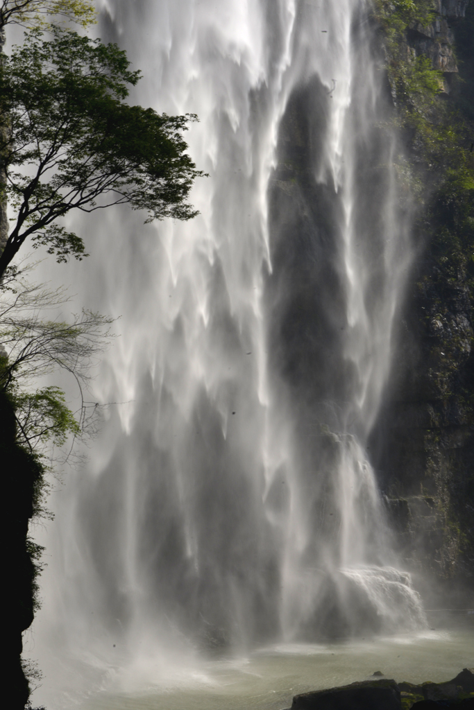 _DSC4325.jpg