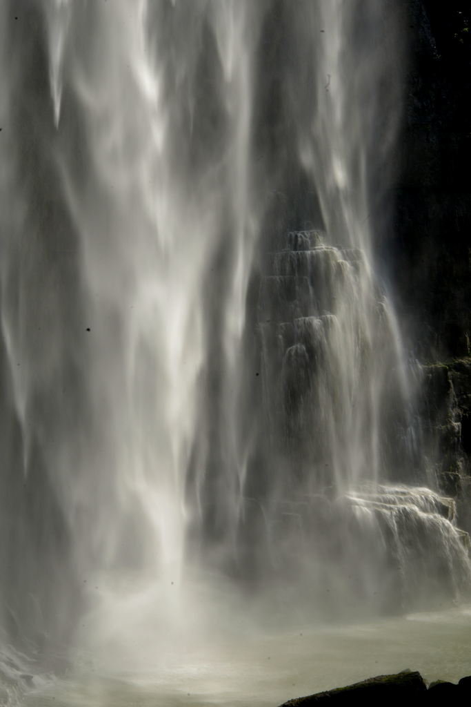_DSC4290.jpg