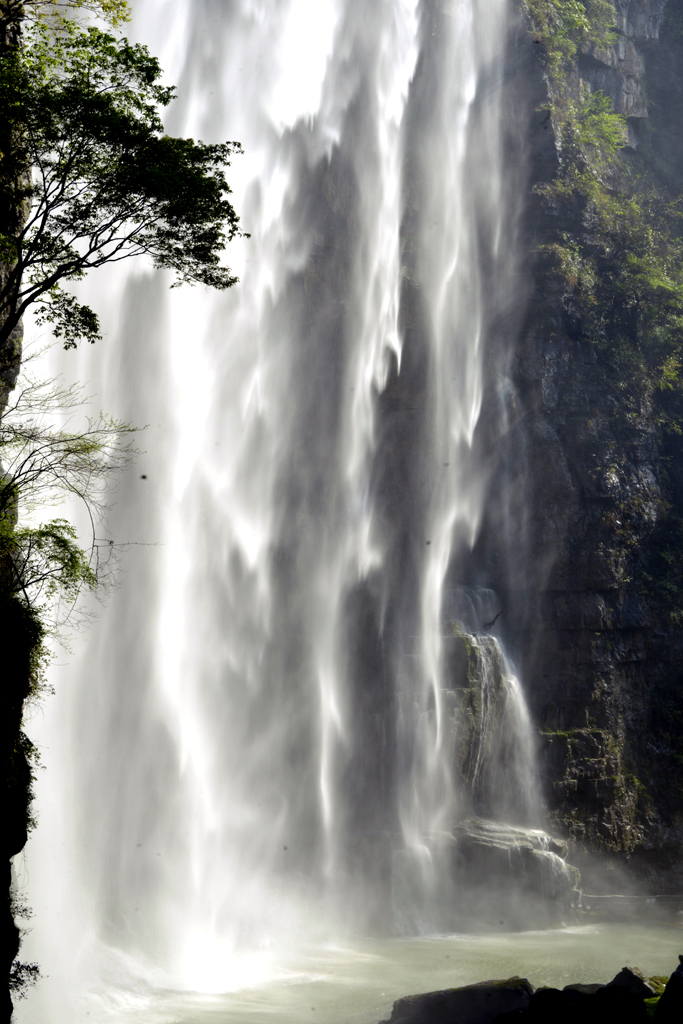 _DSC4293.jpg