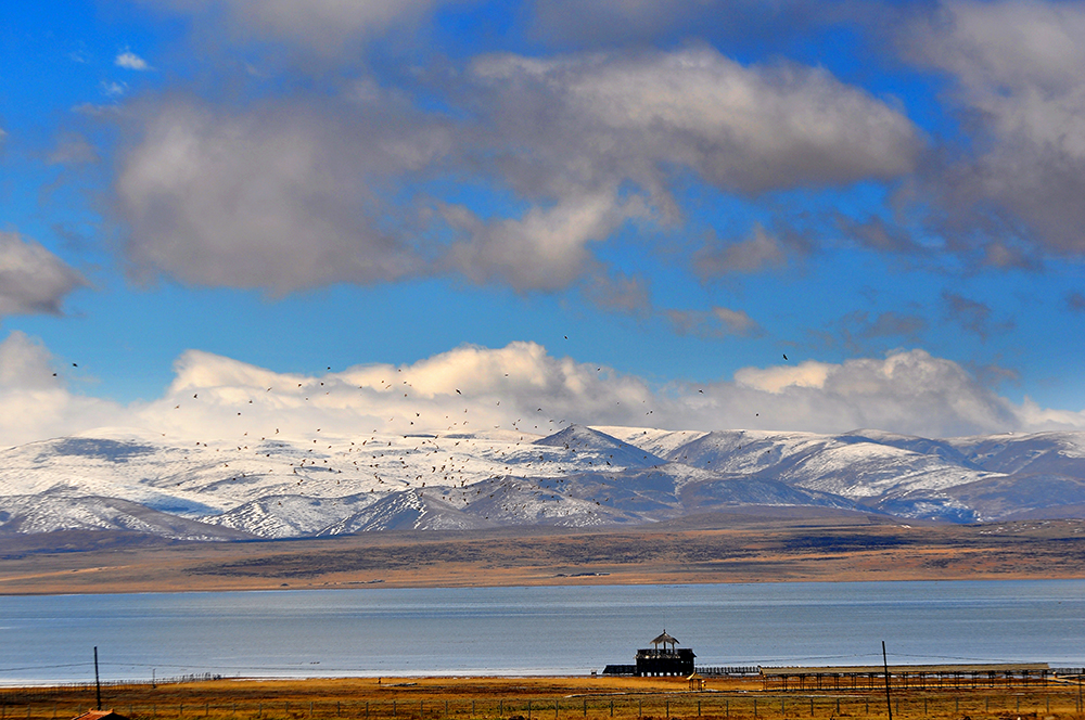 DSC_0129.JPG