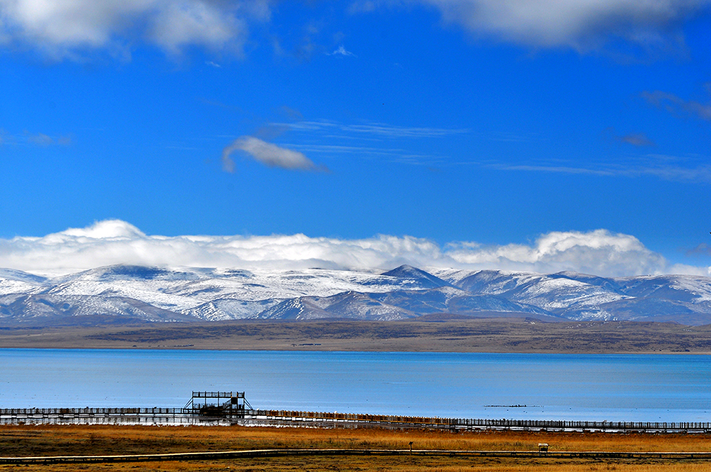 DSC_0132.JPG