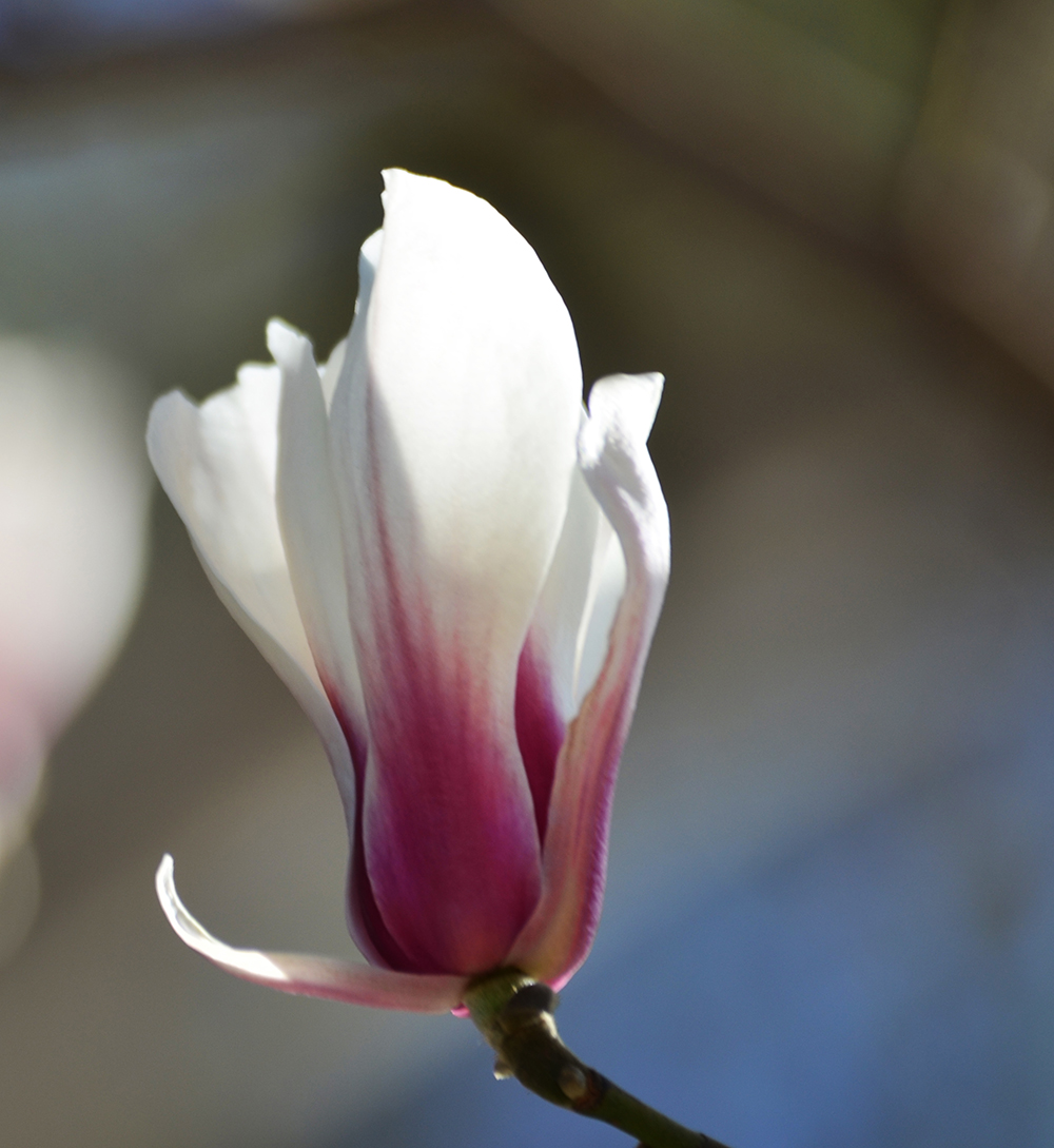 DSC_6759.JPG