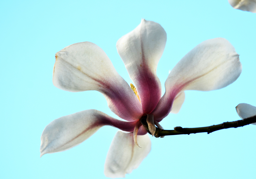 DSC_6848.JPG