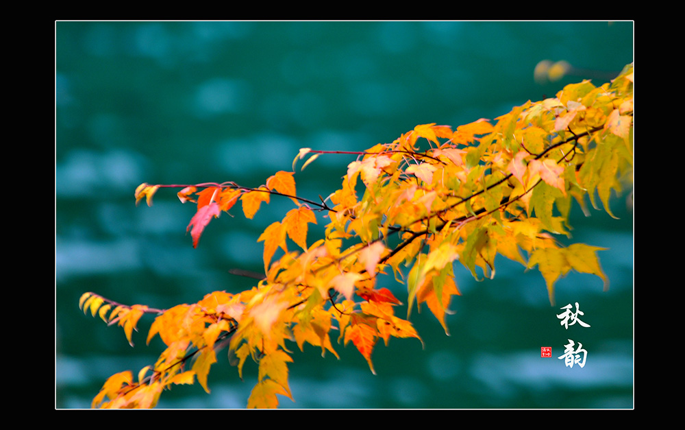 DSC_0049.jpg