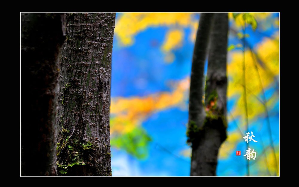 DSC_0081.jpg