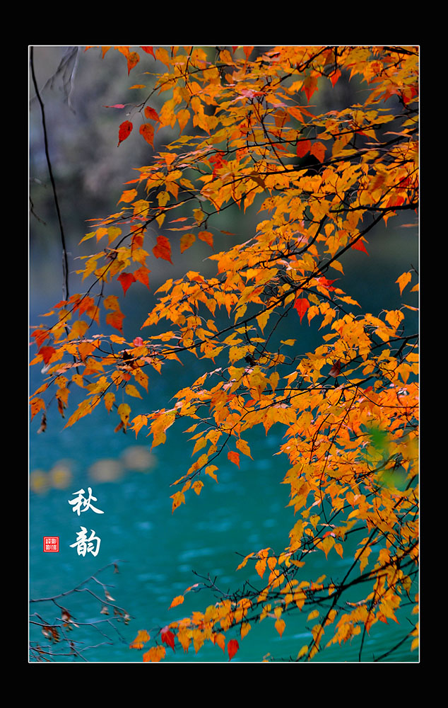 DSCF36910.JPG