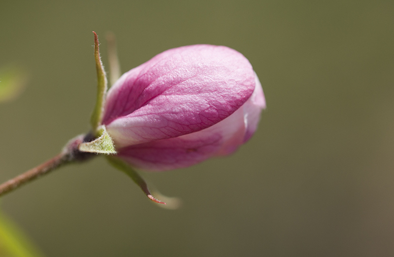 _DSC7475--小.jpg