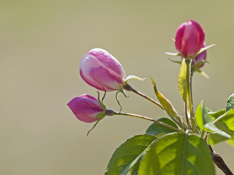 _DSC7457--小.jpg