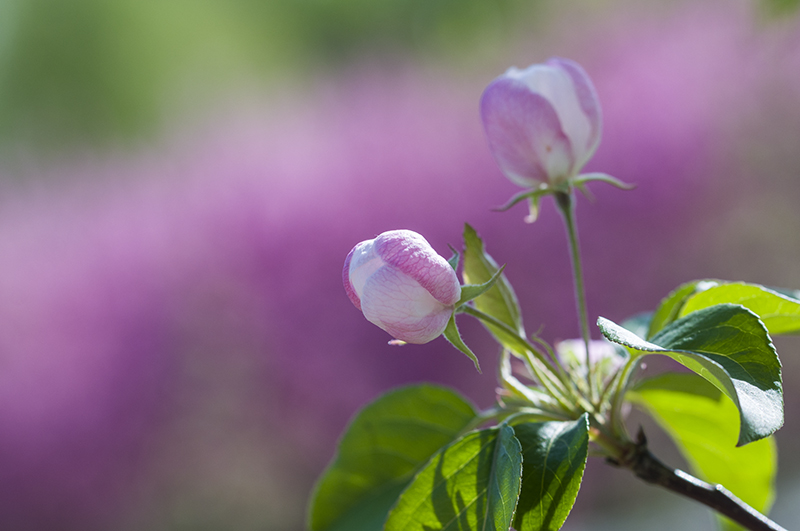 _DSC7445--小.jpg