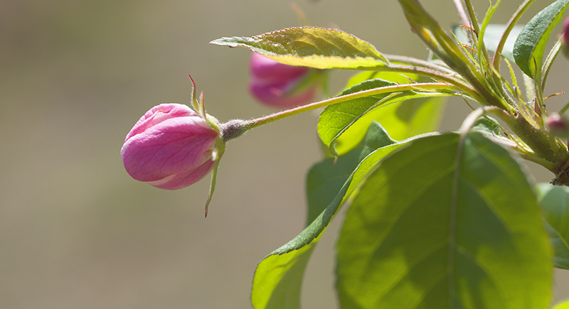 _DSC7444--小.jpg
