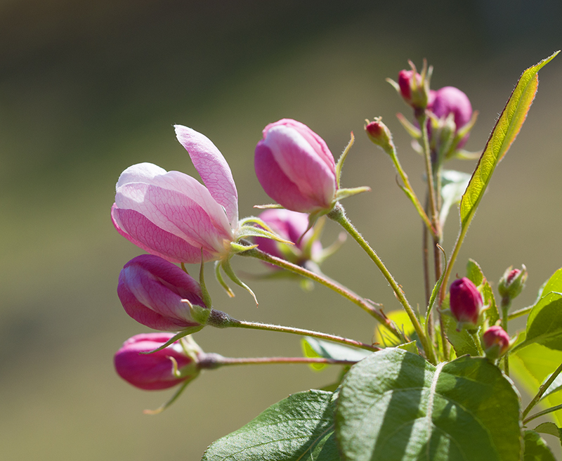 _DSC7439--小.jpg