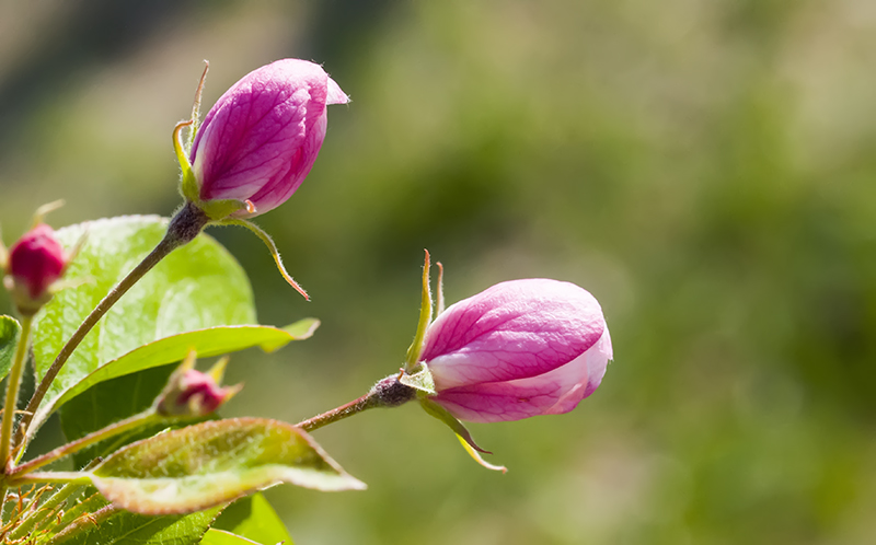 _DSC7366--小.jpg
