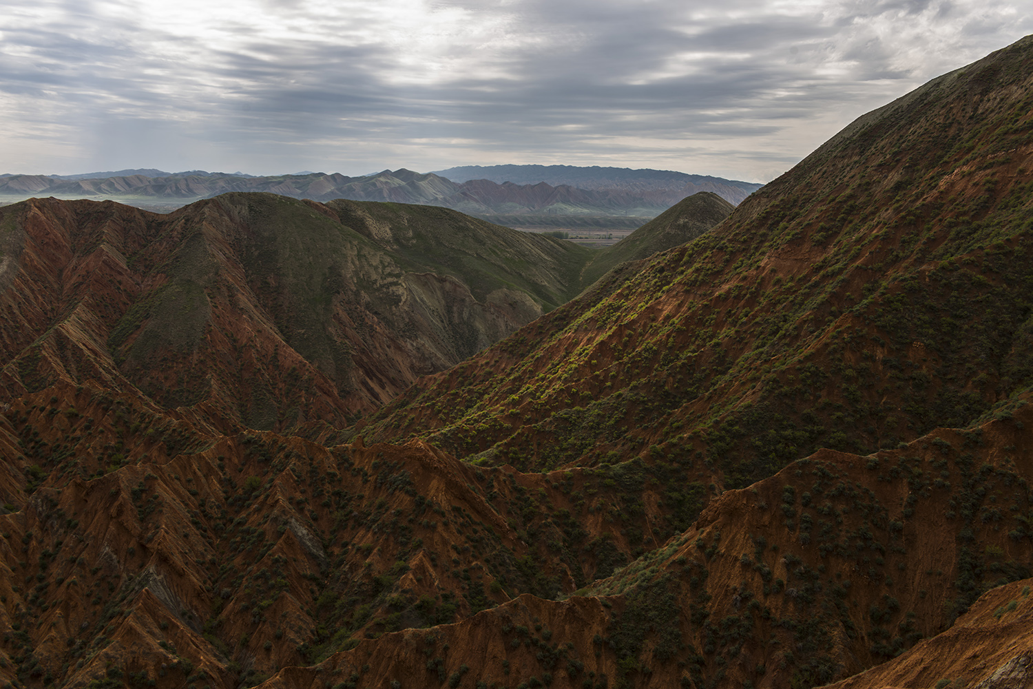 _DSC2285.JPG