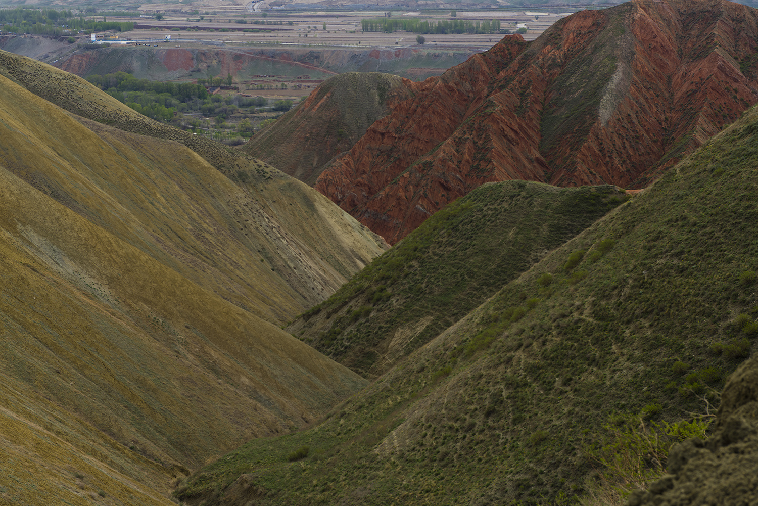 _DSC2305.JPG