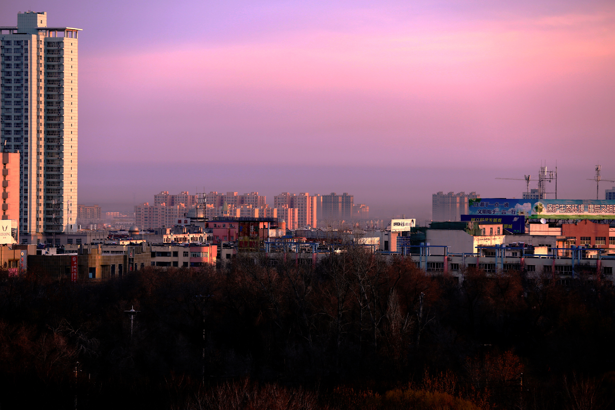CC5A4546.2000w.jpg1.jpg