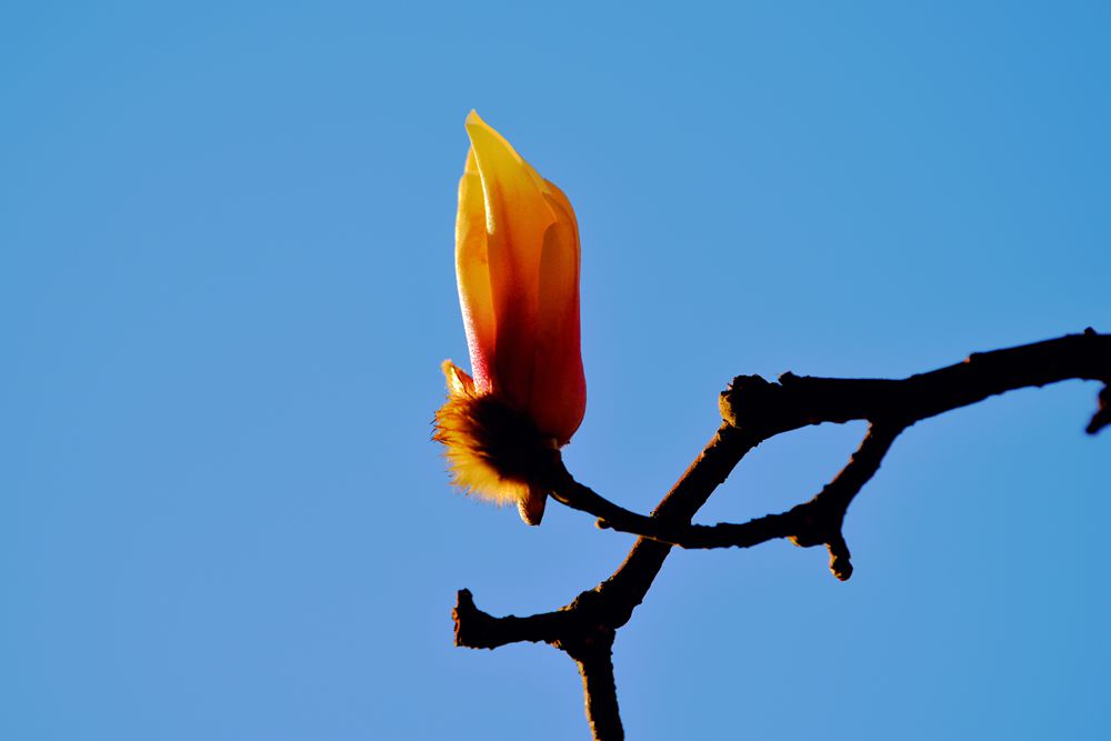 DSC_3156_.jpg