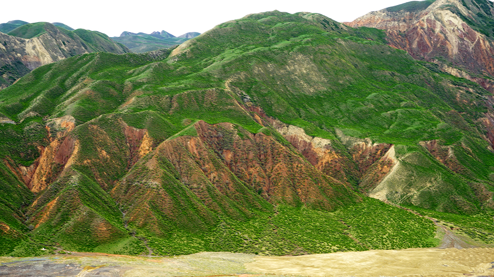 _DSC2604.JPG