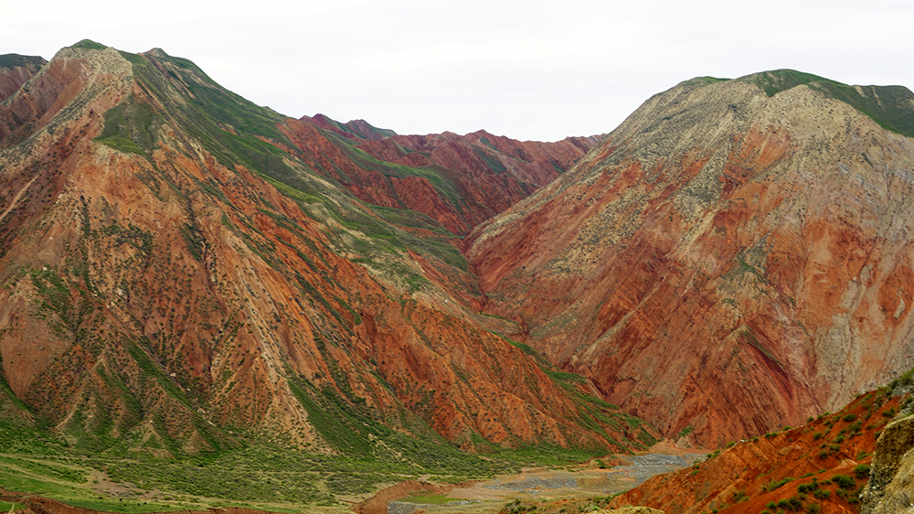 _DSC2606.JPG