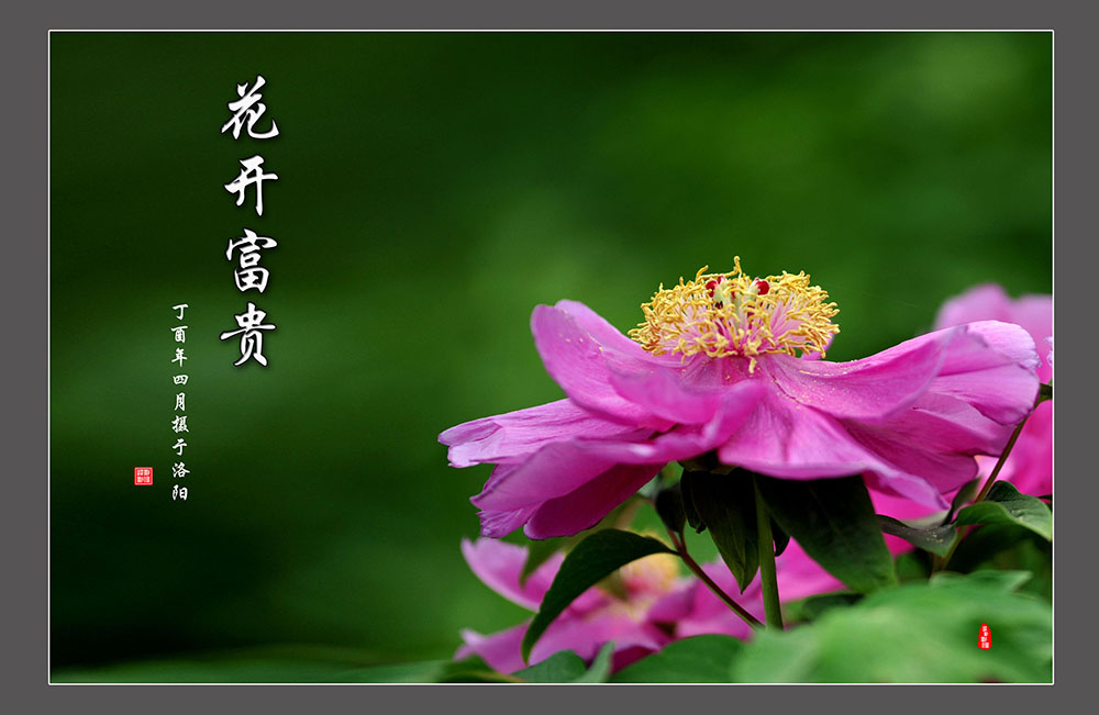 _SC_9630.jpg