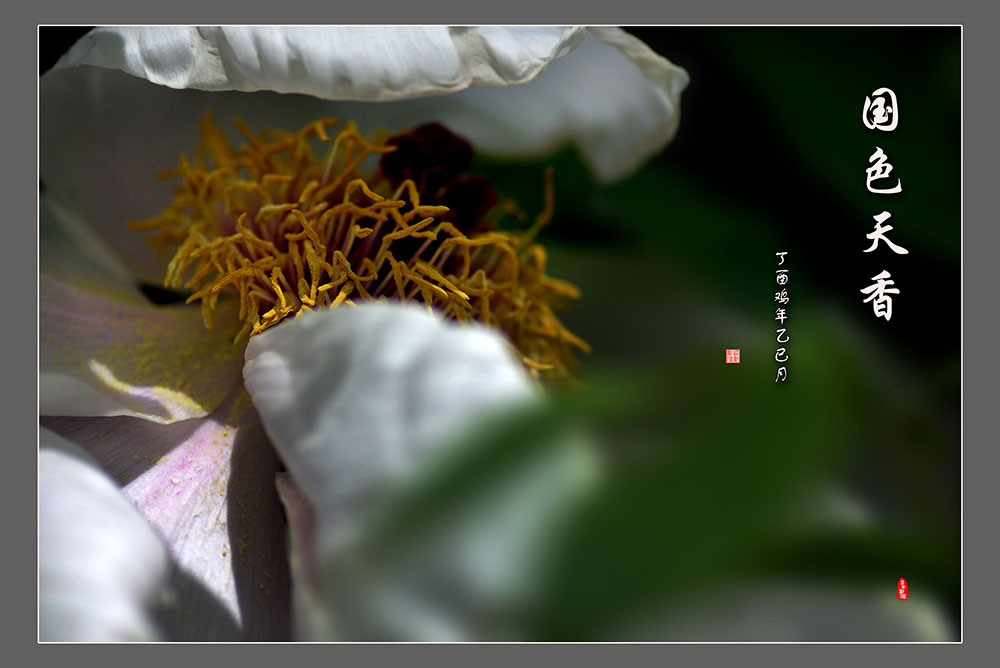 DSC_6272.JPG