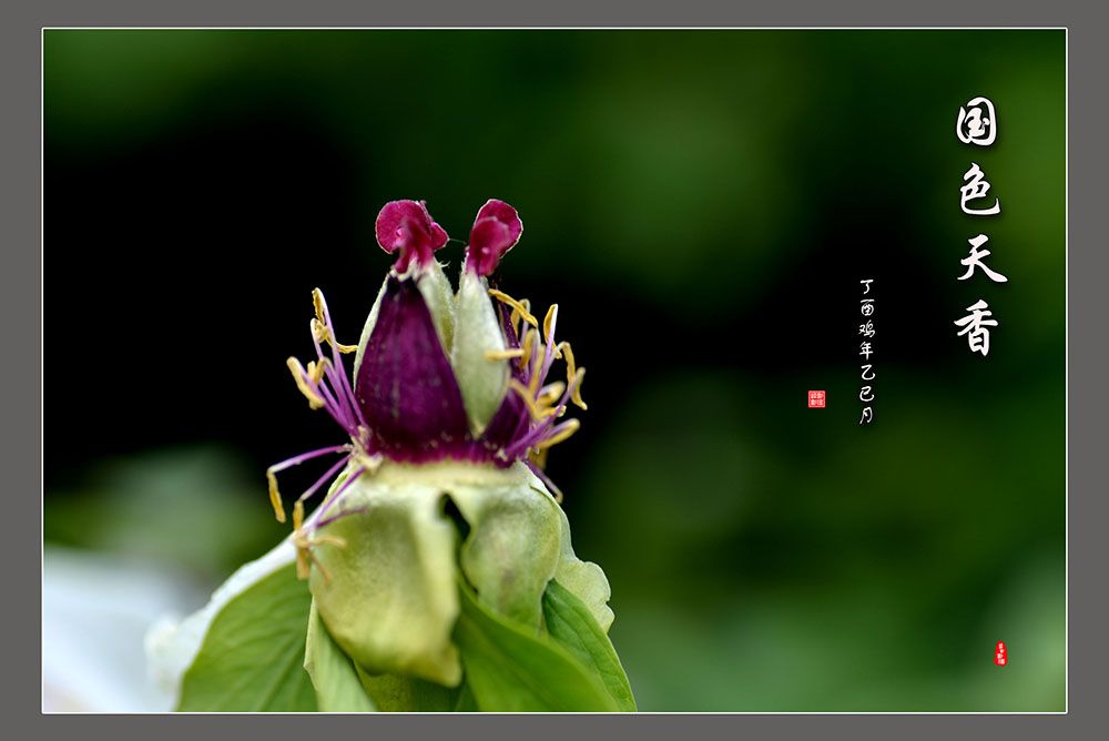 DSC_6276.JPG