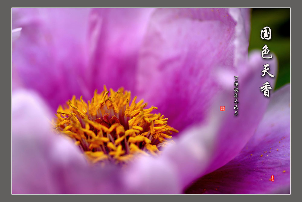 DSC_6280.JPG