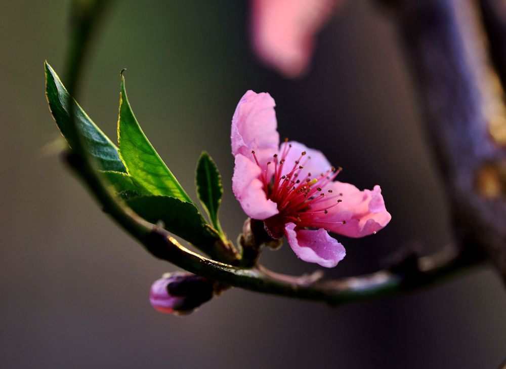 DSC_3545__.jpg