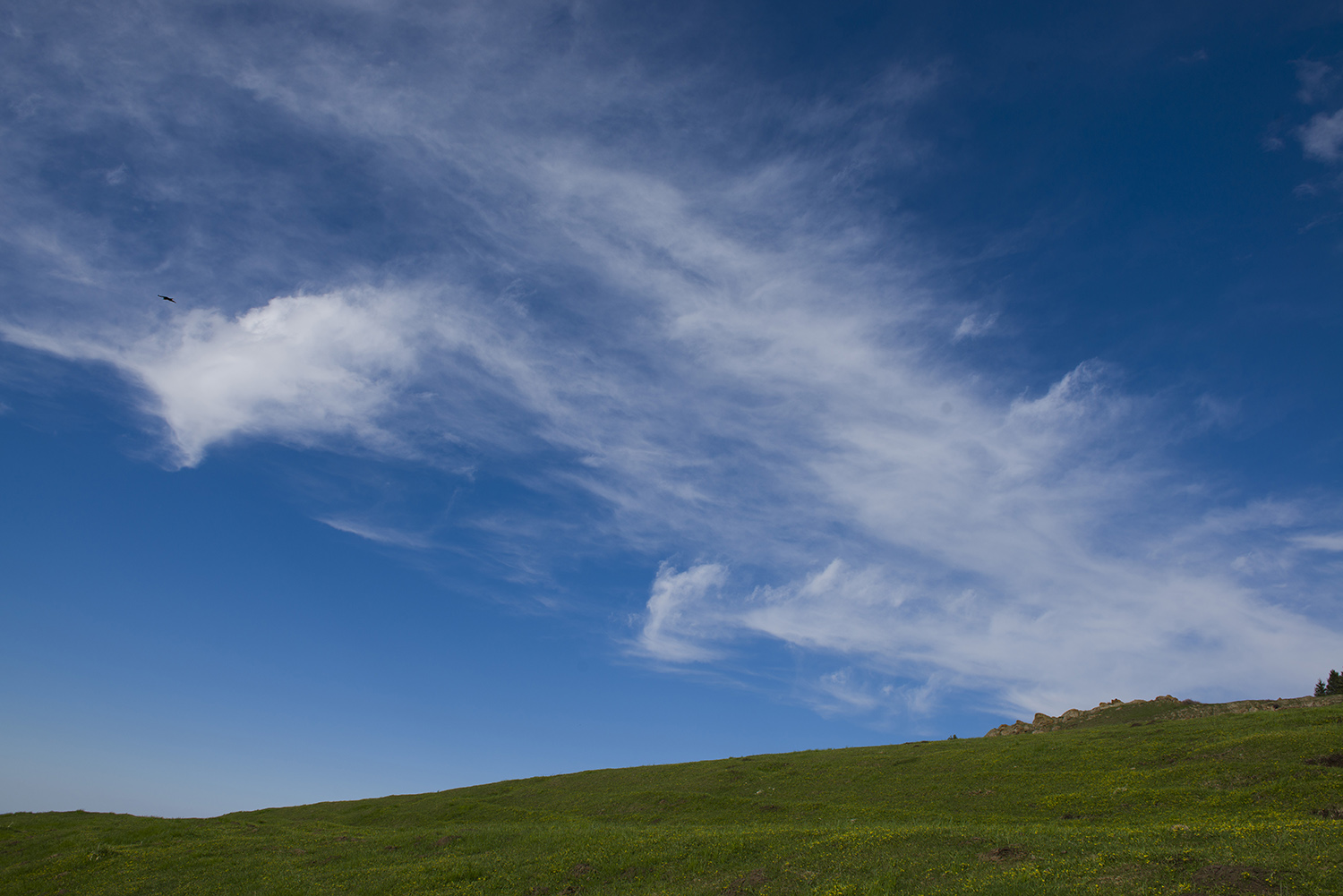 _DSC2528.JPG