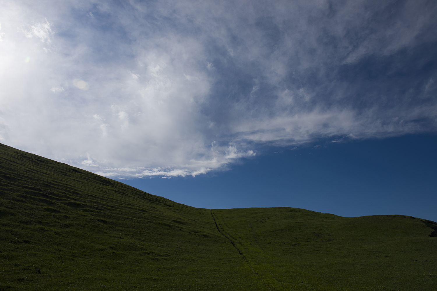 _DSC2536.JPG