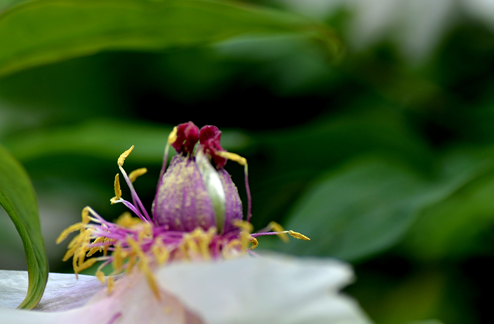 DSC_6273.JPG
