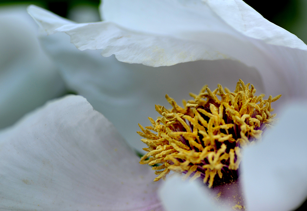 DSC_6277.JPG