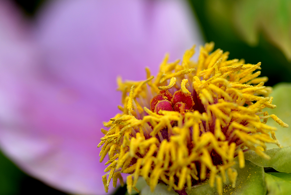 DSC_6279.JPG