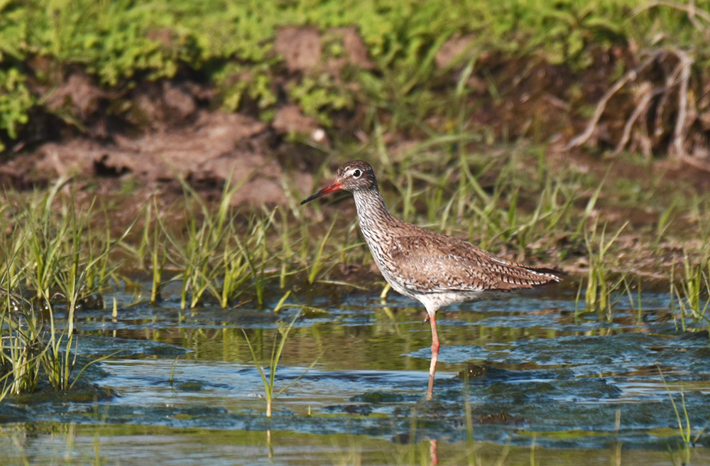 DSC_3836.jpg