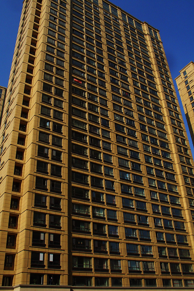 CIMG4523 .jpg