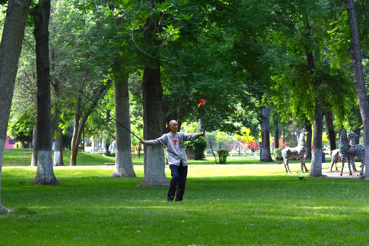 nEO_IMG__DSC8886.jpg