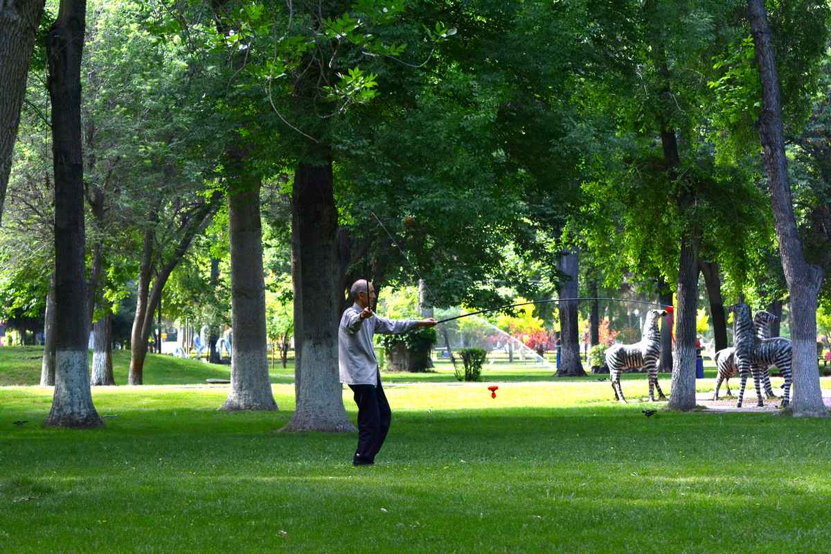 nEO_IMG__DSC8888.jpg