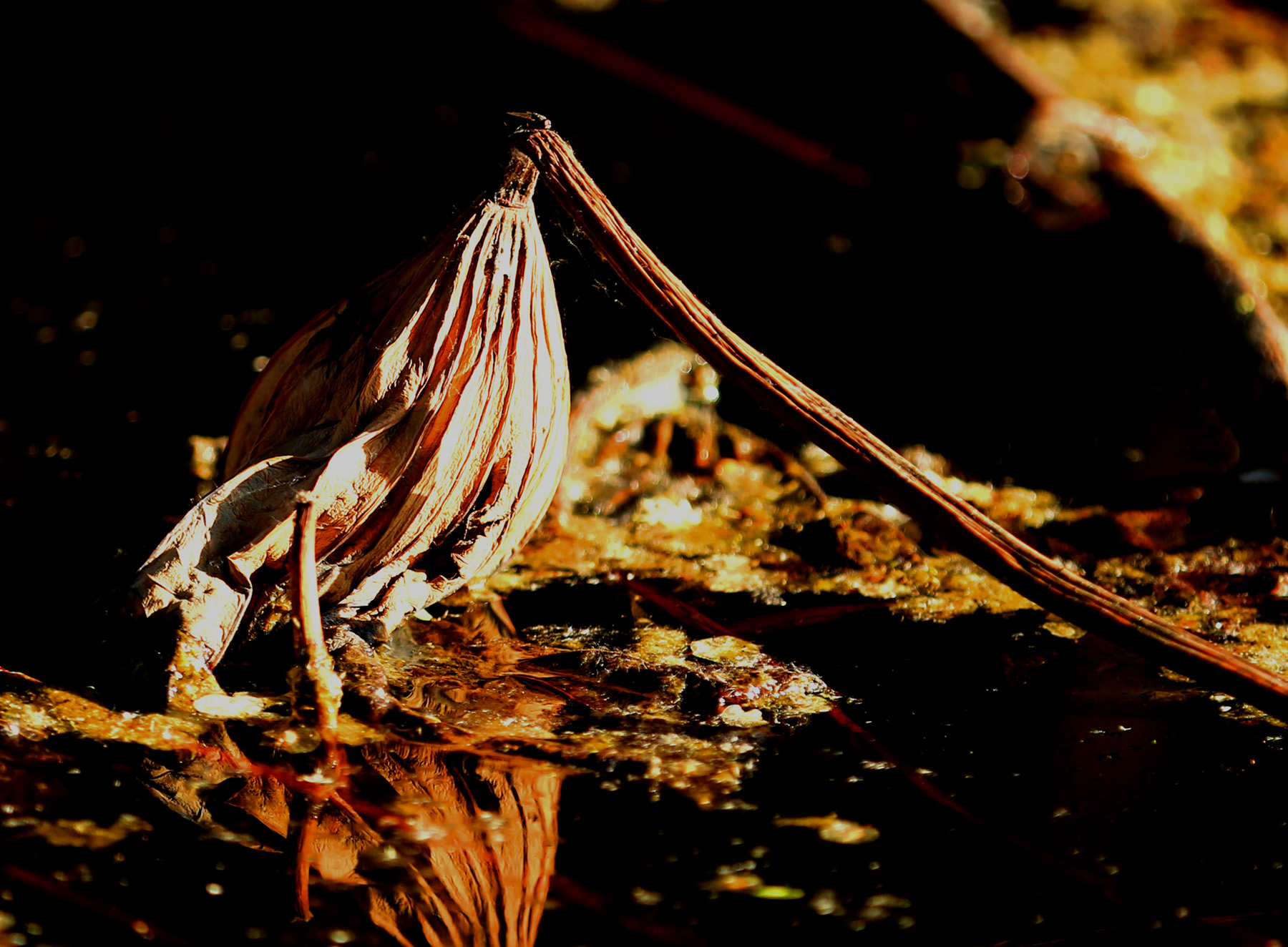 CC5A6159.6.82m.jpg