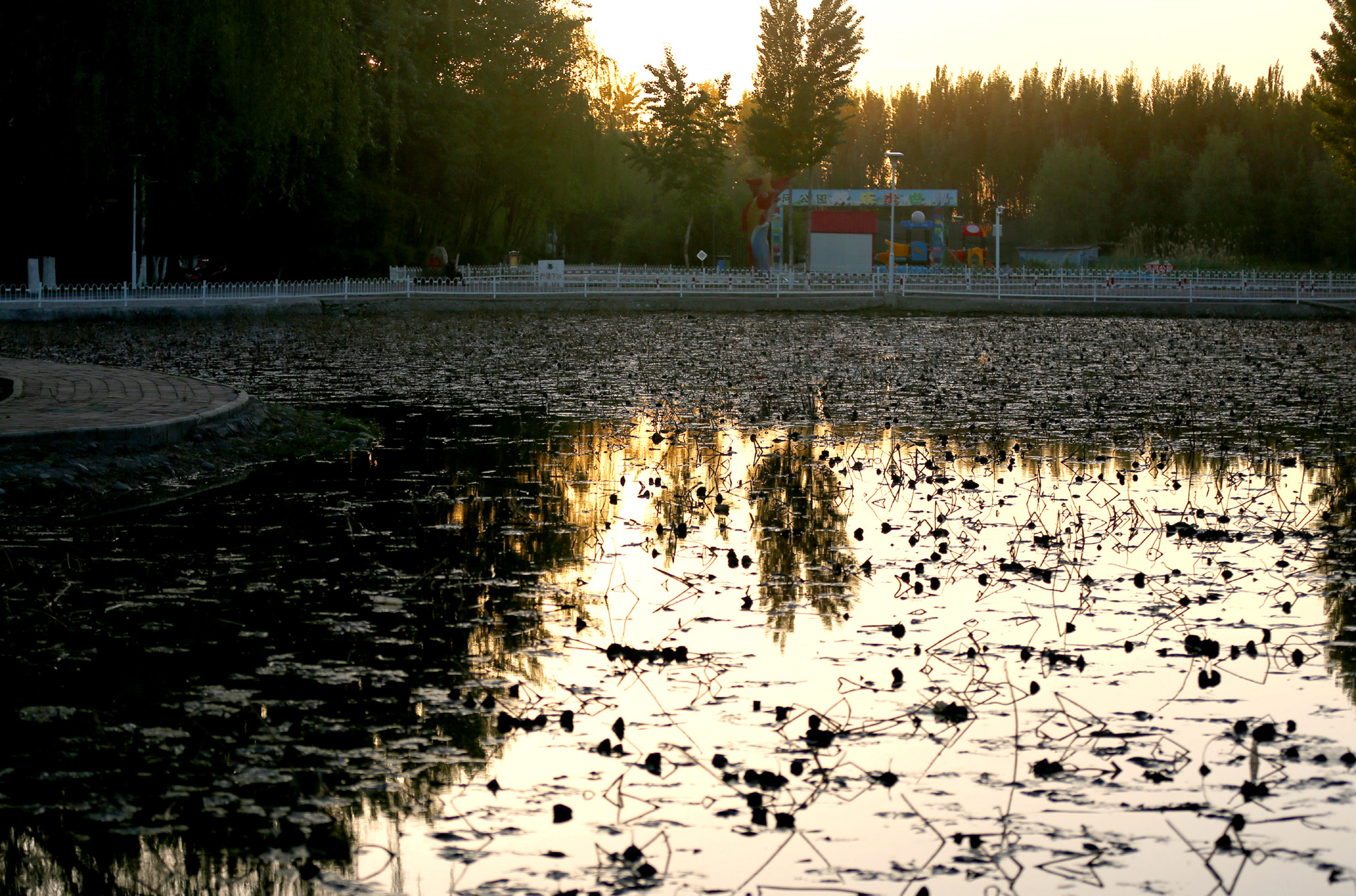 CC5A6201.7.56m.jpg