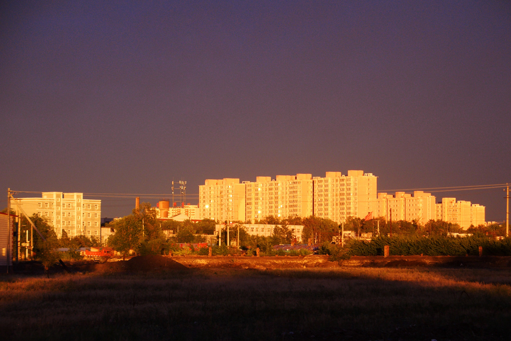 CIMG5654.jpg